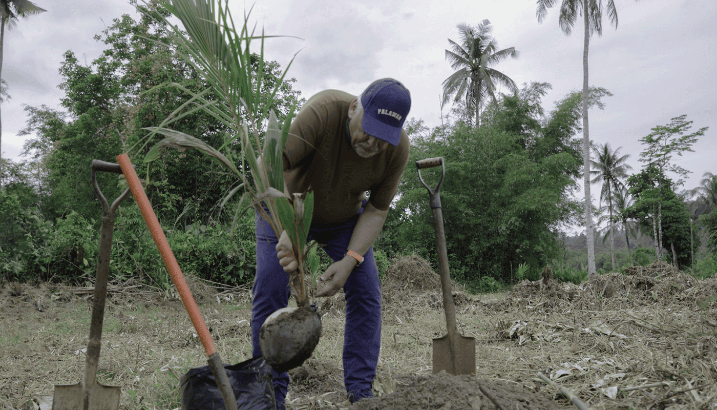 acf_coconut_plantation_3.png