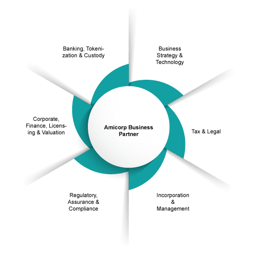 amicorp-360-blockchain-service-offering2.png