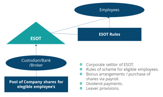 newsletter-amicorp-new-zealand-trust-series-employee-share2.png