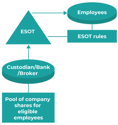 newsletter-new-zealand-employee-share-option-trusts(2).png